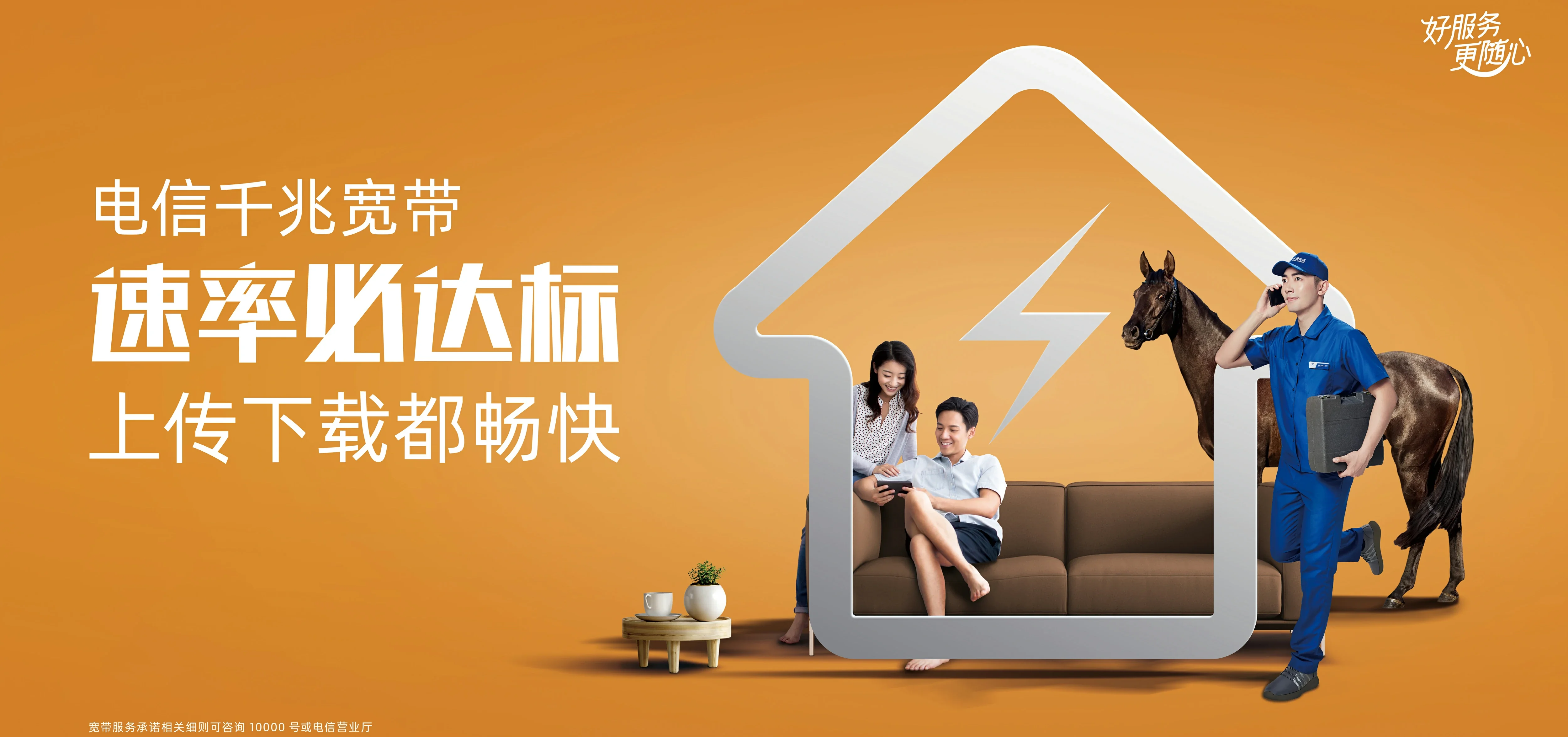 中国电信 新龙电信宽带 宽带套餐